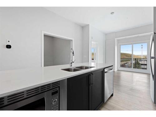 419-255 Les Jardins Park Se, Calgary, AB - Indoor Photo Showing Kitchen With Double Sink