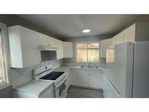 4-204 Pinehill Road Ne, Calgary, AB - Indoor Photo Showing Kitchen With Double Sink