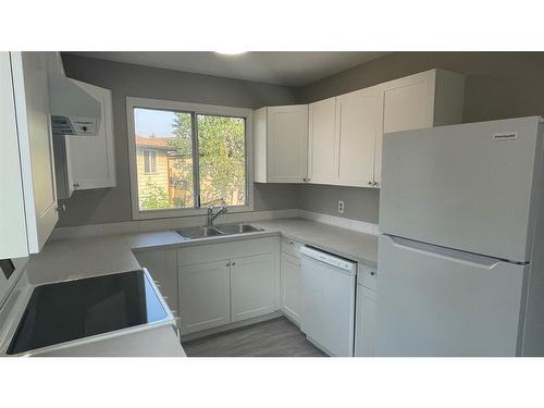 4-204 Pinehill Road Ne, Calgary, AB - Indoor Photo Showing Kitchen With Double Sink