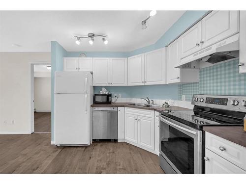 213-2000 Applevillage Court Se, Calgary, AB - Indoor Photo Showing Kitchen With Double Sink