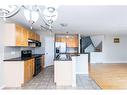 7 Saddlecrest Terrace Ne, Calgary, AB  - Indoor Photo Showing Kitchen With Stainless Steel Kitchen 