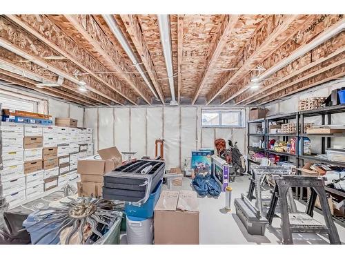 48 Nolanhurst Crescent Nw, Calgary, AB - Indoor Photo Showing Basement