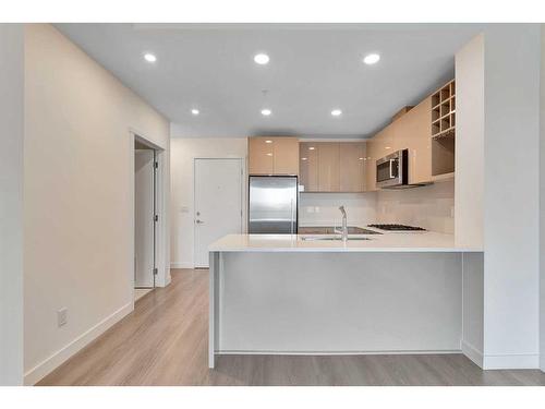 302-301 10 Street Nw, Calgary, AB - Indoor Photo Showing Kitchen