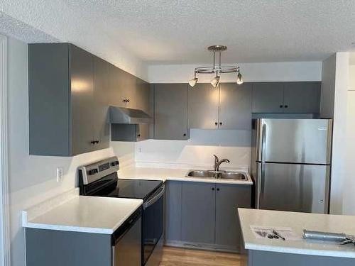 308-1717 60 Street Se, Calgary, AB - Indoor Photo Showing Kitchen With Double Sink