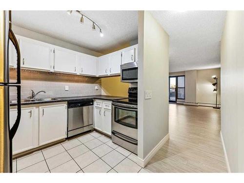 107-1900 25A Street Sw, Calgary, AB - Indoor Photo Showing Kitchen With Stainless Steel Kitchen With Double Sink