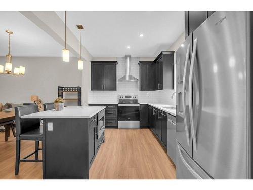 212 Homestead Drive Ne, Calgary, AB - Indoor Photo Showing Kitchen With Stainless Steel Kitchen With Upgraded Kitchen