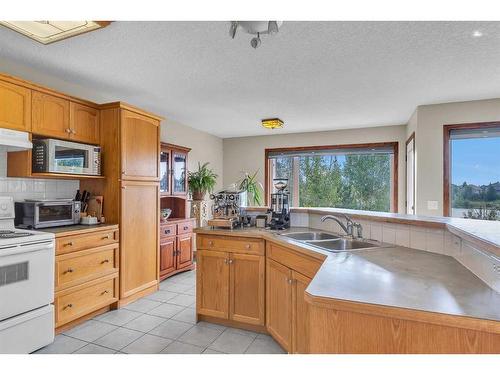 566 Saddlecreek Way Ne, Calgary, AB - Indoor Photo Showing Kitchen With Double Sink