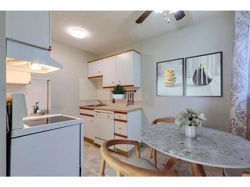 403-313 20 Avenue Sw, Calgary, AB - Indoor Photo Showing Kitchen