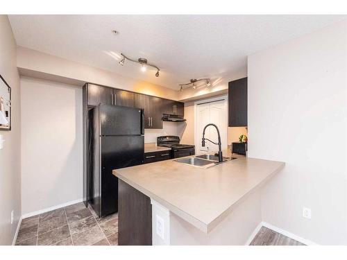 217-7110 80 Avenue Ne, Calgary, AB - Indoor Photo Showing Kitchen With Double Sink