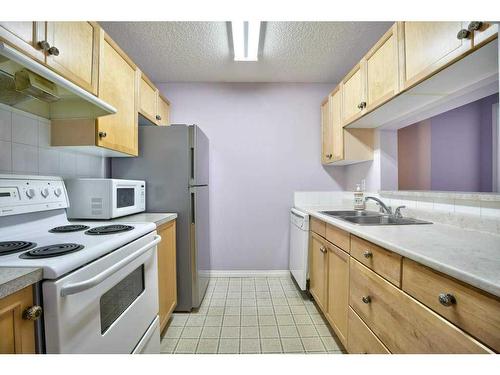 207-2022 Canyon Meadows Drive Se, Calgary, AB - Indoor Photo Showing Kitchen With Double Sink