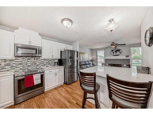 420 Whitehorn Place Ne, Calgary, AB - Indoor Photo Showing Kitchen With Stainless Steel Kitchen With Upgraded Kitchen