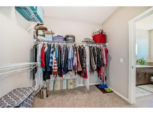 17 Walgrove Manor Se, Calgary, AB - Indoor With Storage