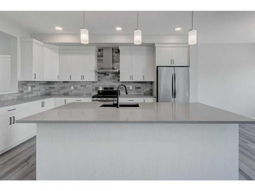 145 Homestead Terrace Ne, Calgary, AB - Indoor Photo Showing Kitchen With Upgraded Kitchen