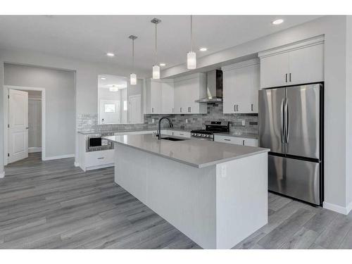 145 Homestead Terrace Ne, Calgary, AB - Indoor Photo Showing Kitchen With Upgraded Kitchen