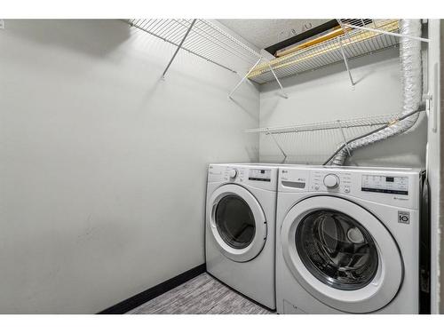 317-1717 60 Street Se, Calgary, AB - Indoor Photo Showing Laundry Room