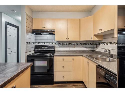 317-1717 60 Street Se, Calgary, AB - Indoor Photo Showing Kitchen With Double Sink