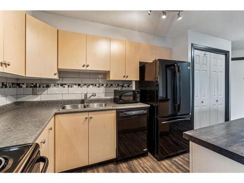 317-1717 60 Street Se, Calgary, AB - Indoor Photo Showing Kitchen With Double Sink