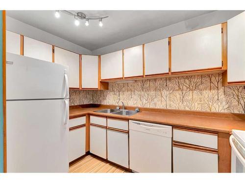 306-335 Garry Crescent Ne, Calgary, AB - Indoor Photo Showing Kitchen With Double Sink