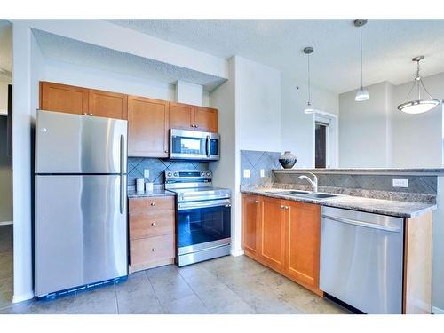 316-1053 10 Street Sw, Calgary, AB - Indoor Photo Showing Kitchen With Stainless Steel Kitchen