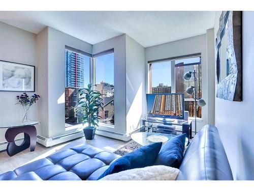 316-1053 10 Street Sw, Calgary, AB - Indoor Photo Showing Living Room