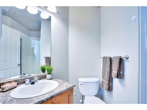 316-1053 10 Street Sw, Calgary, AB - Indoor Photo Showing Bathroom