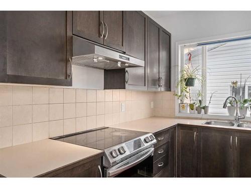 86 New Brighton Green Se, Calgary, AB - Indoor Photo Showing Kitchen With Double Sink With Upgraded Kitchen