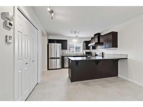 155 Skyview Point Crescent Ne, Calgary, AB - Indoor Photo Showing Kitchen