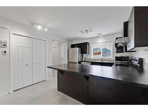 155 Skyview Point Crescent Ne, Calgary, AB - Indoor Photo Showing Kitchen