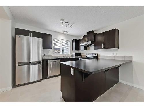 155 Skyview Point Crescent Ne, Calgary, AB - Indoor Photo Showing Kitchen With Stainless Steel Kitchen