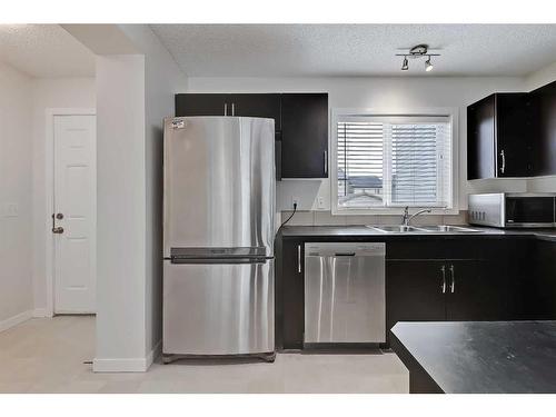 155 Skyview Point Crescent Ne, Calgary, AB - Indoor Photo Showing Kitchen With Double Sink