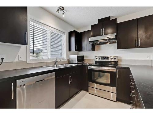 155 Skyview Point Crescent Ne, Calgary, AB - Indoor Photo Showing Kitchen With Stainless Steel Kitchen With Double Sink