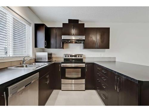 155 Skyview Point Crescent Ne, Calgary, AB - Indoor Photo Showing Kitchen With Stainless Steel Kitchen With Double Sink