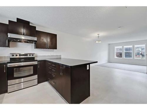 155 Skyview Point Crescent Ne, Calgary, AB - Indoor Photo Showing Kitchen With Stainless Steel Kitchen