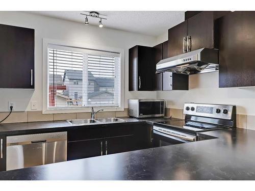 155 Skyview Point Crescent Ne, Calgary, AB - Indoor Photo Showing Kitchen With Stainless Steel Kitchen With Double Sink