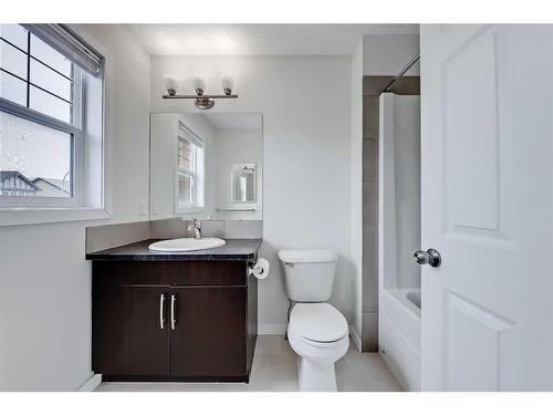 155 Skyview Point Crescent Ne, Calgary, AB - Indoor Photo Showing Bathroom