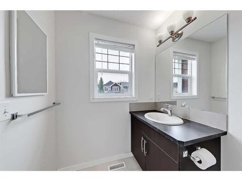 155 Skyview Point Crescent Ne, Calgary, AB - Indoor Photo Showing Bathroom