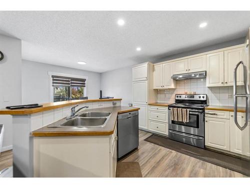 315 Saddlecreek Point Ne, Calgary, AB - Indoor Photo Showing Kitchen With Stainless Steel Kitchen With Double Sink