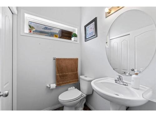 315 Saddlecreek Point Ne, Calgary, AB - Indoor Photo Showing Bathroom