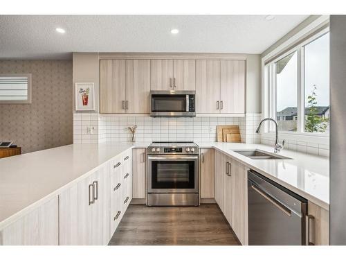 295 Masters Row Se, Calgary, AB - Indoor Photo Showing Kitchen With Double Sink With Upgraded Kitchen