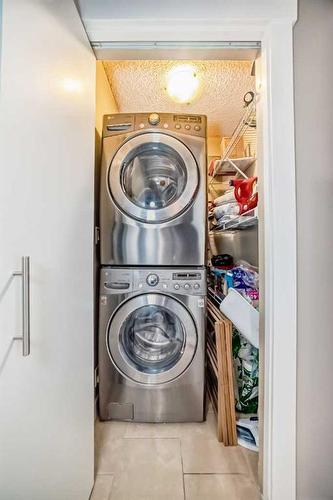 301-8710 Horton Road Sw, Calgary, AB - Indoor Photo Showing Laundry Room