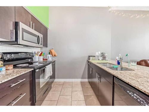 301-8710 Horton Road Sw, Calgary, AB - Indoor Photo Showing Kitchen With Double Sink