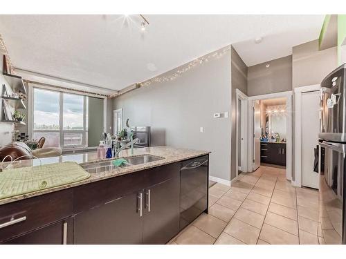 301-8710 Horton Road Sw, Calgary, AB - Indoor Photo Showing Kitchen With Double Sink