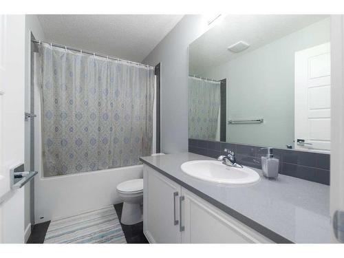 93 Skyview Parade Ne, Calgary, AB - Indoor Photo Showing Bathroom