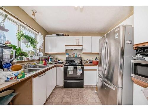 46 Martinridge Crescent Ne, Calgary, AB - Indoor Photo Showing Kitchen With Double Sink