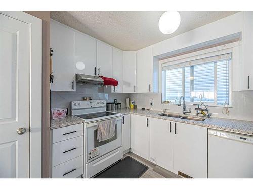 72 Martindale Crescent Ne, Calgary, AB - Indoor Photo Showing Kitchen With Double Sink