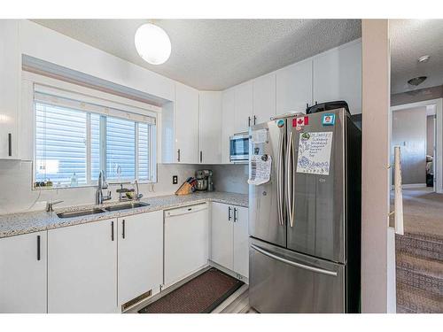 72 Martindale Crescent Ne, Calgary, AB - Indoor Photo Showing Kitchen With Double Sink