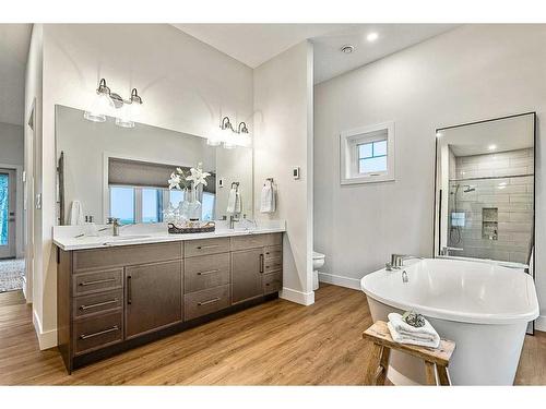 64228 306 Avenue West, Rural Foothills County, AB - Indoor Photo Showing Bathroom