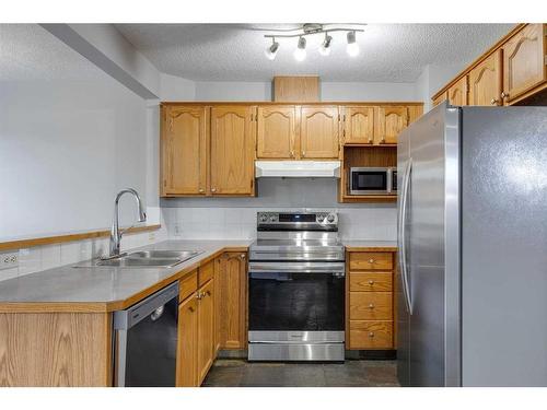 48 Catalina Circle Ne, Calgary, AB - Indoor Photo Showing Kitchen With Double Sink