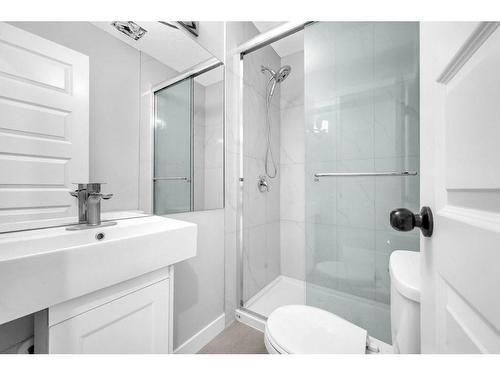 256 Castleridge Drive Ne, Calgary, AB - Indoor Photo Showing Bathroom