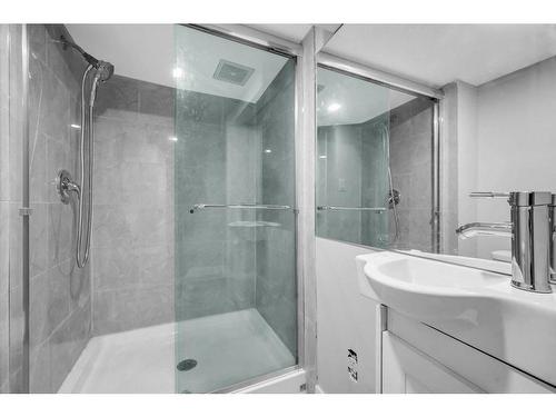 256 Castleridge Drive Ne, Calgary, AB - Indoor Photo Showing Bathroom